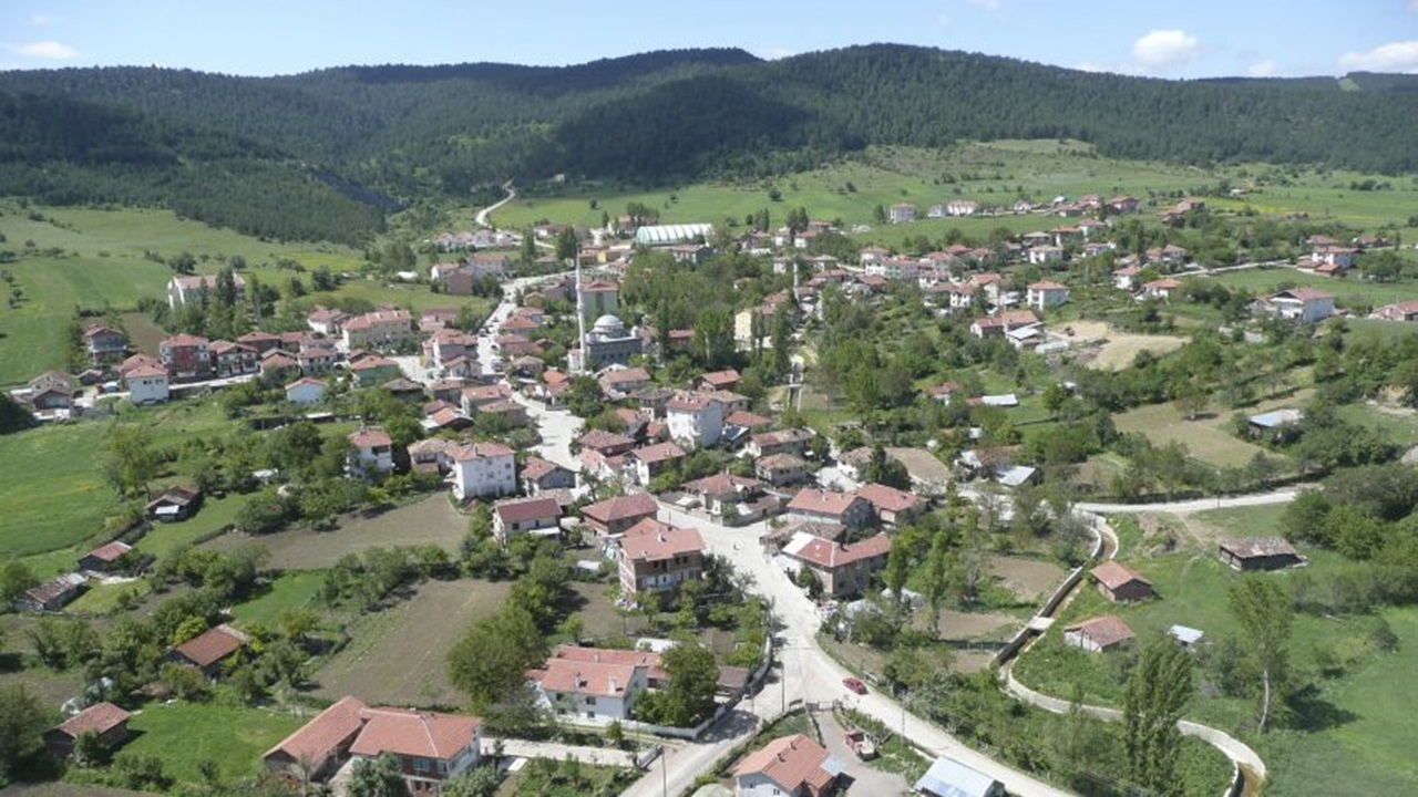 Ovacık Nakliyat 